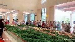 海拔1380避暑养生超级大盘